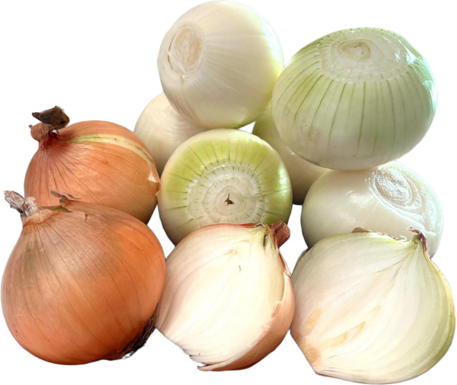 황토밭에서 자란 전남 무안 양파 단단하고 아삭한 햇양파 ISO인증 업체, 1개, 5KG