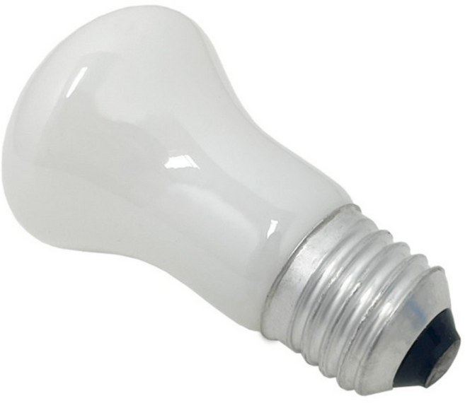 포커스 M50 백열 크립톤 전구 E26 백열전구, 전구색, 1개