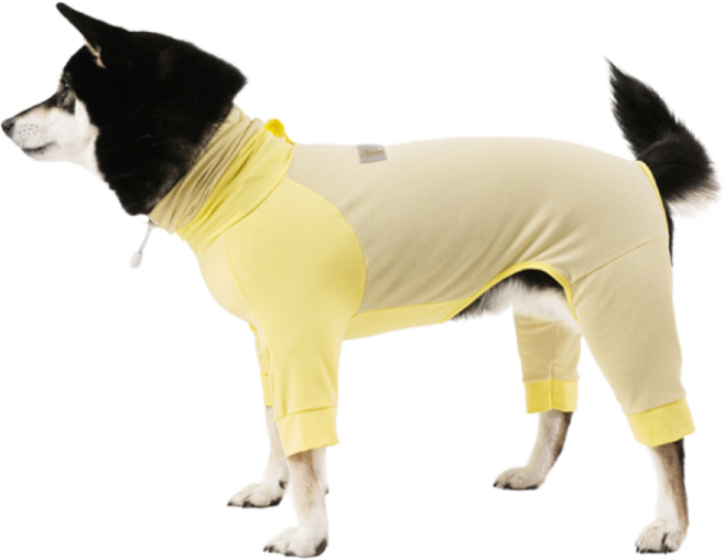 니즈더펫 인터라켄 강아지 쿨링 여름옷, 옐로우레몬, 1개