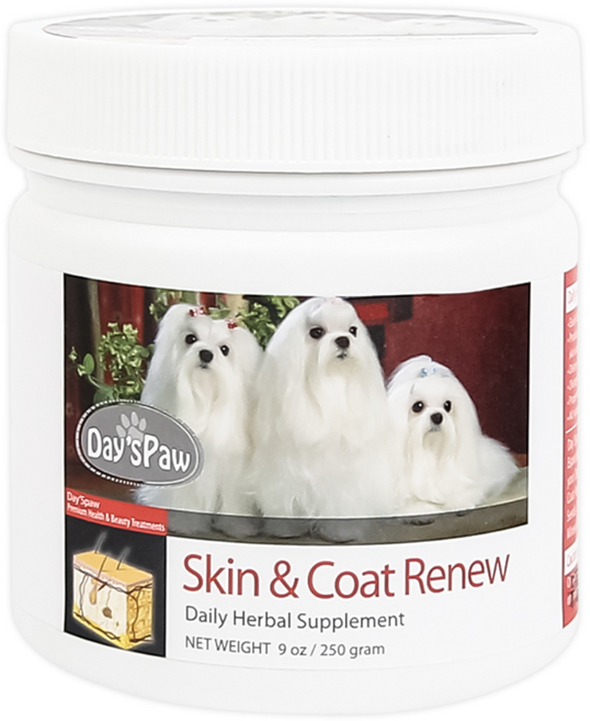 데이스포 에이치시리즈 뷰티영양제 250g, 피부/피모, 1개