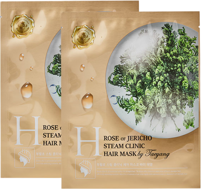 청담스타일 포레스트 부활초 스팀 클리닉 헤어팩 2매, 2개, 40g