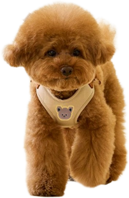 FONOW 강아지하네스 고양이 애견 아웃도어 끈, 베이지