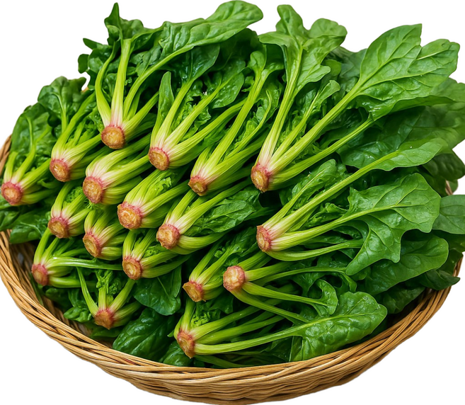 해풍 맞고 자란 남해안 육지초 시금치, 시금치2kg, 1개
