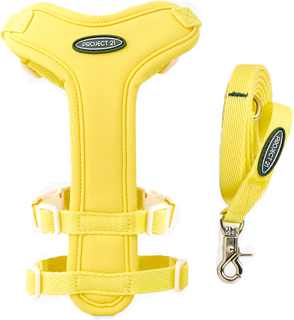 프로젝트21 강아지 하네스 + 리쉬 세트, 레몬, 1개