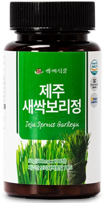 새싹 보리 정 국내산 새싹보리 분말 가루 식약처 인증 HACCP, 1개, 500mg, 100정 - 쿠팡