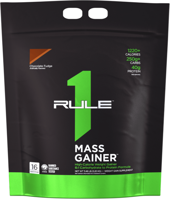 Rule1 룰원 매스게이너 초콜릿퍼지 5.2kg, 1개