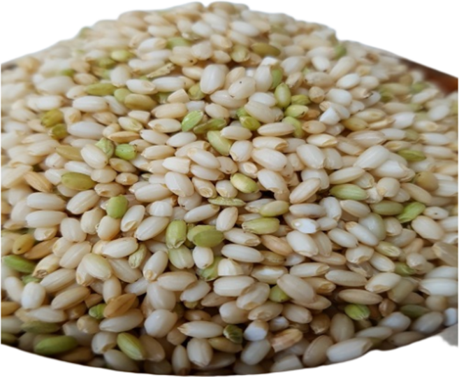 [25년산]누룽지향찰현미 향찰현미 설향현미5kg, 1개, 5kg