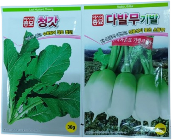 무 씨앗 종자 달고 맛있는 기발무 소형무 동치미 김장 가을무 다발무 청갓 2세트 1개, 60g