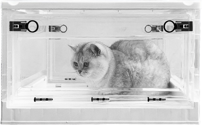 강아지 산소방 네블라이저방 산소발생기 20mm, 화이트, 1개