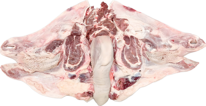 국내산 100% 한우 암소 소머리 한마리 반마리 우설포함 신선 냉동 배송, 1개, 10kg