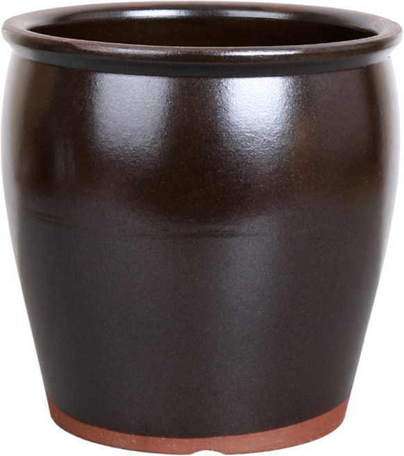 옹기 단지 화분, 1개