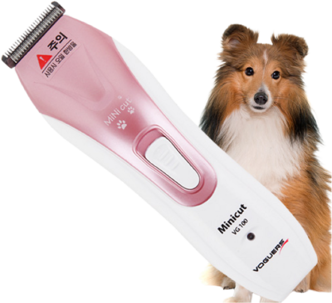 보거스 VG-100, 1개