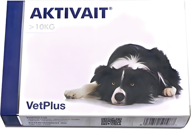 벳플러스 액티베이트 중대형견 미디움 라지 강아지 독 영양제 60캡슐 두뇌 항산화제, 60회분, 면역/항산화, 1개