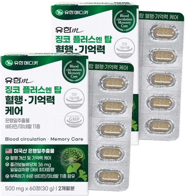 유한메디카 징코 플러스 엔 탑 혈행 기억력 케어 30g, 60정, 2개