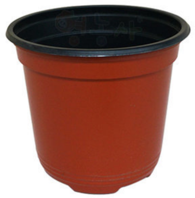 이색화분 10개 연질 플라스틱 모종 이색 포트 모음, 브라운