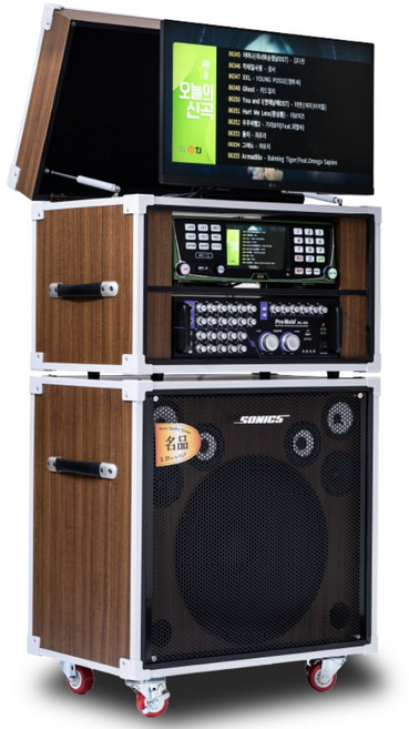 금영 태진 프리미엄 가정용 이동식 노래방기계 소닉스 MG-S8000 15인치 우퍼 내장 스피커 800와트, 덮개형, 태진 TKR-370HK, 충전식 무선마이크 제닉스 스카이 화이트