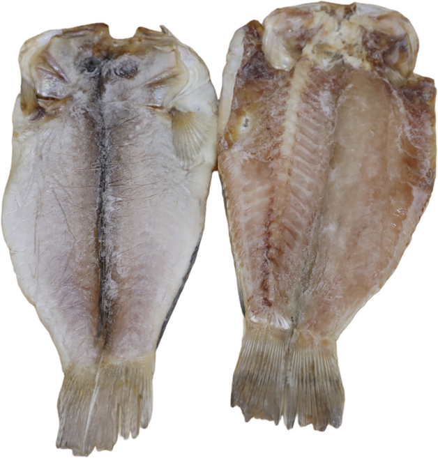 제주 동문시장 반건조 옥돔 스페셜특대 1마리 400g이상 38cm이상 5마리 오후 2시까지 주문하시면 다음날 배송 도착합니다 단 금요일14시~일요일 14시까지 주문분 월요일 도착, 5개, 2kg.