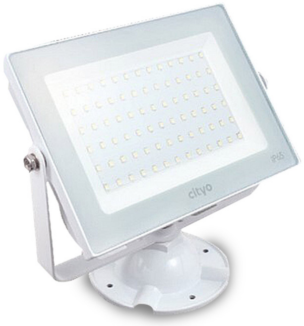 씨티오 LED 사각투광기 50W 주광색 노출형, 1개