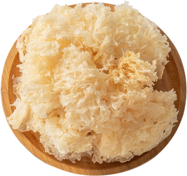 HACCP 건조백목이버섯 꽃송이버섯, 2개, 50g