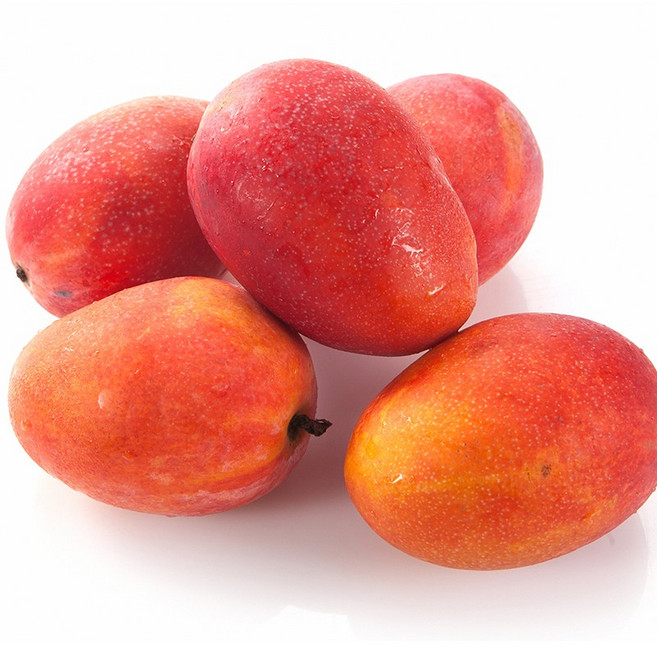 부드럽고 촉촉한 애플망고 가정용 1kg 2kg 4kg, 1개, 4kg(8-10입)