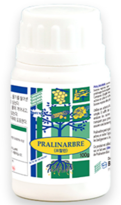 프랄린 파우더 뿌리 발근 촉진 가루 삽목 삽수 뿌리 영양제, 1개