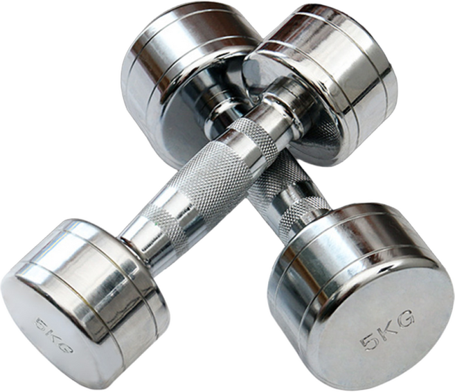 홈트러브 고밀도 크롬 도금 덤벨, 1세트, 5kg