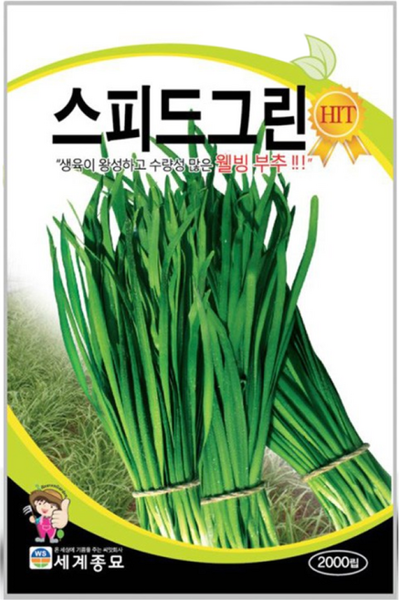 스피드그린부추씨앗 2000립 부추 씨앗 종자, 5개