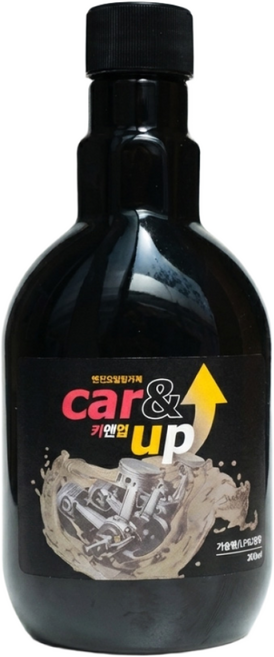 카앤업 엔진첨가제 300ml 휘발유 디젤 LPG 전차종 공용, 1개, 가솔린/휘발유