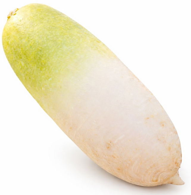 세척무 제주 햇 무 [BZN], 1개, 1kg 이상