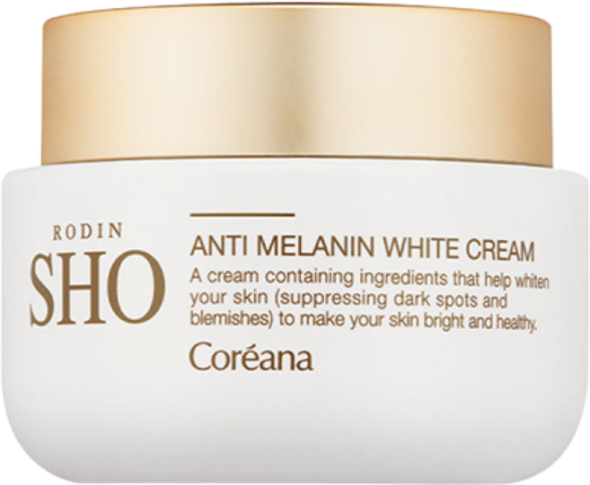 코리아나 로댕쇼 안티 멜라닌 미백크림 기미 순삭 크림 나이아신아마이드 5%, 1개, 50ml