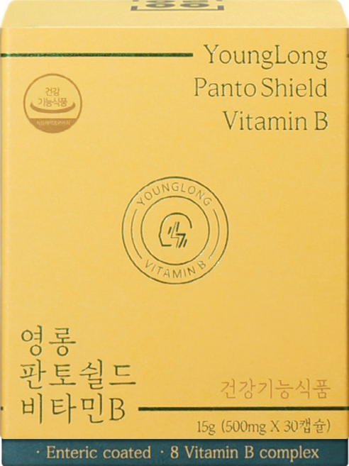 영롱 판토쉴드 비타민B 3+1 약사설계, 4개, 30정