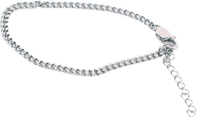 딩동펫 반려동물 써지컬 인식표 목걸이 체인형5, 실버, 1개