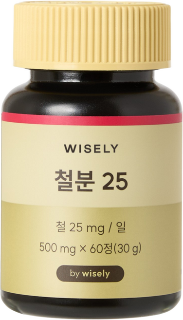 와이즐리 철분 25 (2개월분), 60정, 1세트