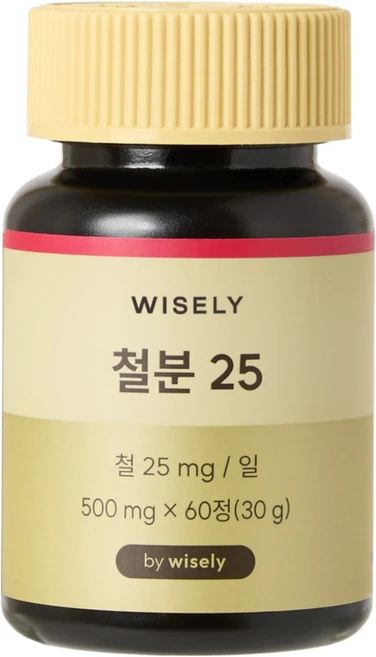 와이즐리 철분 25 (2개월분), 60정, 1세트 - 쿠팡