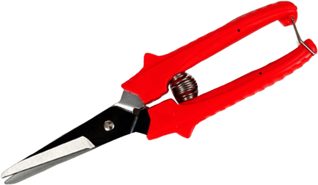 신성 마늘양파가위 전정 원예 가위, 1개