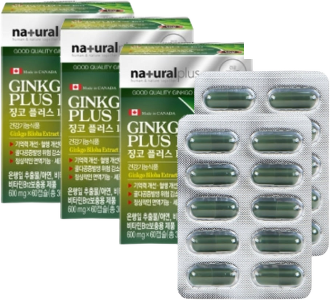 은행잎 비타민b12 엽산 대사 플라보놀 36 회사원 수험생 630mg x 3박스 6개월분 직장인 어르신 병풀잎 산사열매 GINKGOBILOBA 비타민이 은행 마늘 레몬 추출물 배당체, 3개, 60정