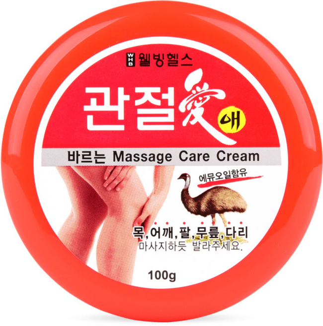 웰빙헬스팜 관절애 마사지크림, 100g, 2개