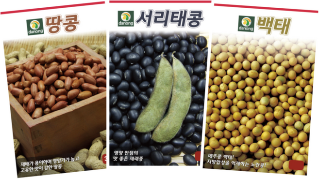 주주씨앗 다농 인기콩씨앗 3종 / 서리태 백태 땅콩 종자 씨 / 메주콩 검은 서리태콩 땅콩 씨, 백태콩(메주콩)30g, 1개