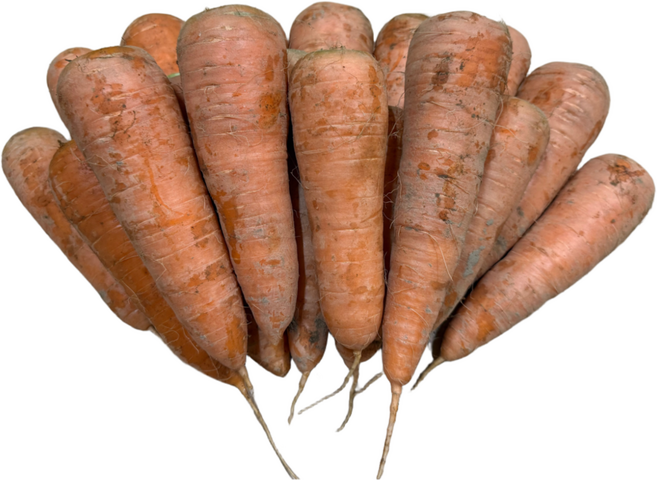 제주 구좌 햇 흙당근 첫 출하, 1박스, 특상 5kg