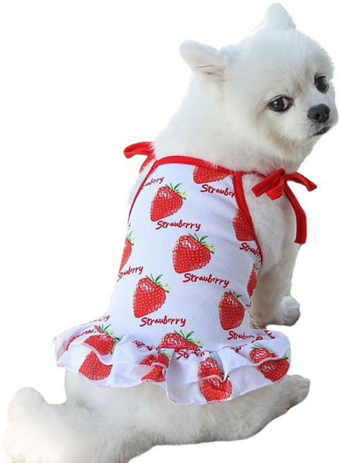 하니펫 강아지 여름 쿨링 아이스쿨티 과일나시, 1개, 딸기 끈나시