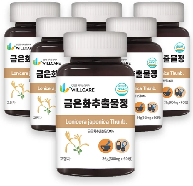 윌케어 금은화 인동꽃봉오리 추출물정 600mg x 60정, 6개 - 쿠팡