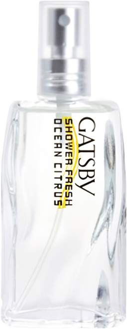 갸스비 샤워프레쉬 오션 시트러스 샤워코롱 과일향, 60ml, 1개