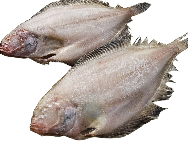 반건조물가자미(특대)약30cm(10마리) 2마리(5봉) 기름가자미 개별진공포장 해인수산