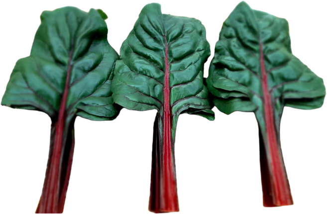 싱싱한 적근대 100g 300g 1kg, 적근대 1kg, 1개