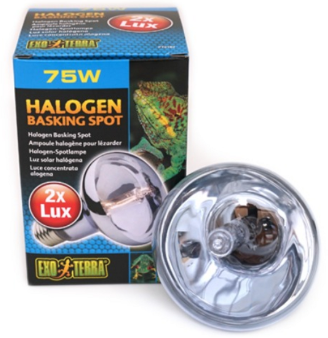 엑소테라 할로겐 바스킹 램프 75W, 1개