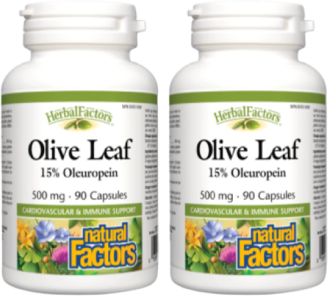 올리브잎 추출물 500mg 90캡슐 올러유러핀 15% 함유 네추럴 팩터스 캐나다 직구, 2개
