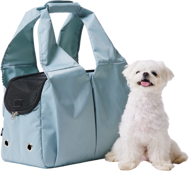 3651 이지캐리백 강아지 가방 고양이 이동장 캐리어, 베이비블루, 1개