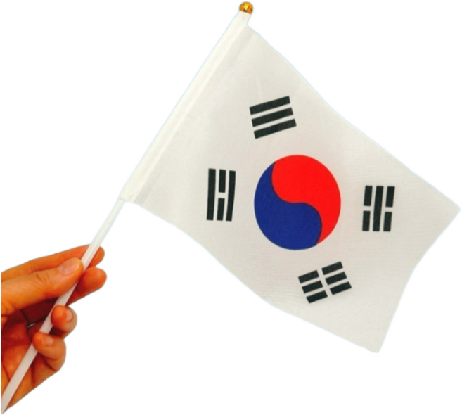 초이스픽 미니 태극기 손태극기, 100개, 단품