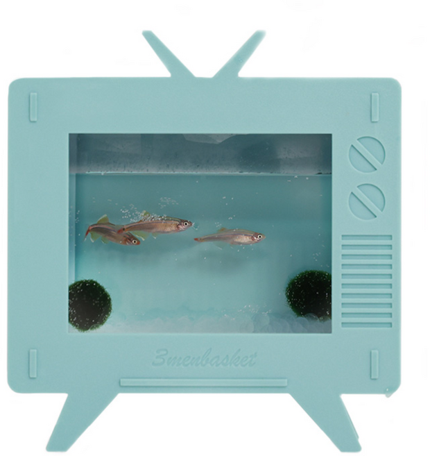 세남자바스켓 마리모키우기 테레비퐁, 1세트, 라임옐로우