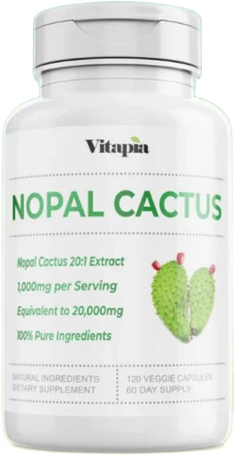 비타피아 노팔칵투스 선인장 1000mg 캡슐 Vitapia Nopal Cactus, 120정, 2개 - 쿠팡